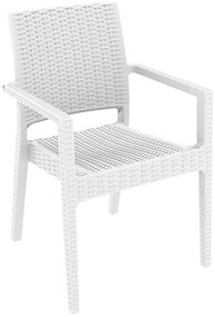 Siesta   Ibiza/P White* Armchair  metax-01-04-055 διάστ.59.0000 x 58.0000 x 87.0000