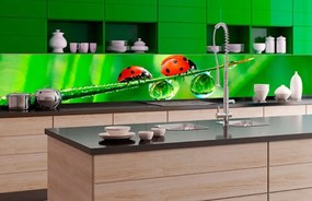 Αυτοκόλλητη φωτοταπετσαρία για πασχαλίτσες κουζίνας - 180x60