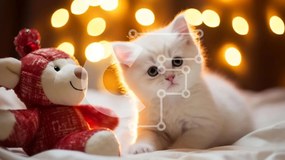 Σετ των 2 Intra Συλλεκτικό Ξύλινο Παζλ Plywood 4mm - Λευκό γατάκι και αρκουδάκι Σε Ξύλινο Κουτί - Διαστάσεις: 10x10 cm – 25 κομμάτια