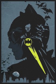 Εικονογράφηση Catwoman & Batman - Protectors of Gotham