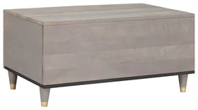 vidaXL Τραπεζάκι σαλονιού Γκρι 80 x 50 x 40 cm Μασίφ ξύλο μάνγκο