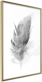 Αφίσα - Lost Feather (Grey) - 40x60 - Χρυσό - Χωρίς πασπαρτού