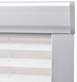 vidaXL Στόρι Σκίασης Πλισέ Λευκό P06/406