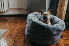 Κρεβάτιγια Σκύλους Hunter Miranda Γκρι 50 x 50 cm