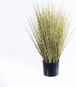Supergreens Τεχνητό Φυτό Χορτάρι Γυνέριο "Reed" Πράσινο 70 εκ.