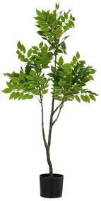 Φυτό Ακακία Real Touch 89790 120cm Green Πλαστικό