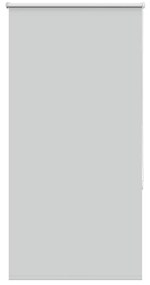 vidaXL Ρολέρ Μπλακάουτ ανοιχτό γκρι 75x175 cm Πλάτος υφάσματος 70,7cm
