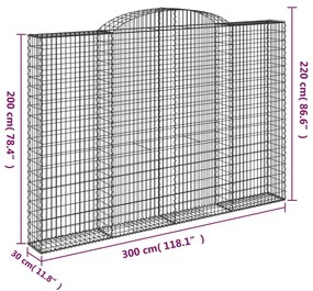 vidaXL Συρματοκιβώτια Τοξωτά 3 τεμ. 300x30x200/220 εκ. Γαλβαν. Ατσάλι