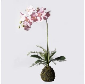 Τεχνητό Φυτό Ορχιδέα Phalaenopsis Real Touch Ροζ με Βάση Moss 60 εκ. 0170-6 Supergreens-0170-6-Ροζ 0170-6