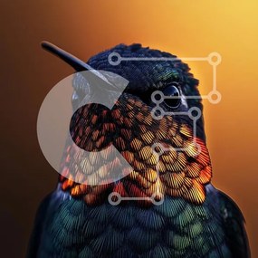 Intra Συλλεκτικό Ξύλινο Παζλ Plywood  4mm - Κοντινό πλάνο ενός δονούμενου κολιμπρί Σε Ξύλινο Κουτί - Διαστάσεις: 10x10 cm – 25 κομμάτια