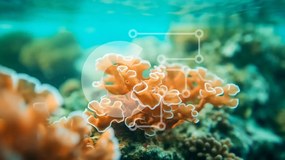 Intra Συλλεκτικό Ξύλινο Παζλ Plywood 4mm - Κοντινό πλάνο του πορτοκαλί κοραλλιού υποβρύχιο Σε Ξύλινο Κουτί - Διαστάσεις: 10x10 cm – 25 κομμάτια