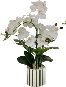 Τεχνητό Λουλούδι Σε Γλάστρα 81εκ. A-S Orchid Asia 214107
