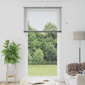 vidaXL Βενετσιάνικες Ρόδες Ασημί 220 x 115 εκ Αλουμίνιο
