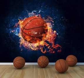 Ταπετσαρία τοίχου ετοίμων διαστάσεων μπάλα μπάσκετ 08240q 280cm x 360cm