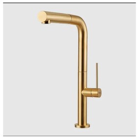 Armando Vicario by La Torre Tozo 48580 Gold Brushed Μπαταρία Κουζίνας Χρωμέ Με Υψηλό Περιστρεφόμενο Ρουξούνι και Συρόμενο Ντους