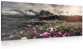 Εικόνα λιβάδι με ανθισμένα λουλούδια - 120x60
