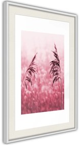 Αφίσα - Amaranth Meadow - 30x45 - Χρυσό - Χωρίς πασπαρτού