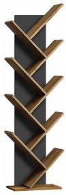 Βιβλιοθήκη NOEL WOTAN OAK + BLACK 155X45 DIOMMI NOELDWC DIOMMI-80-2175