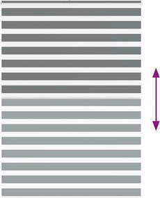 vidaXL Ζέβρα τυφλή Σκούρο Γκρι Πλάτος υφάσματος 160,9 εκ. Πολυεστέρας