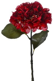 Λουλούδι Ορτανσία Κόκκινη iliadis 56εκ. 77921