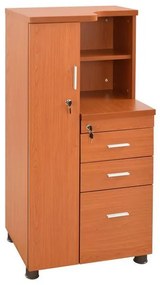 Professional office cabinet-wardrobe cherry color  60x46x120