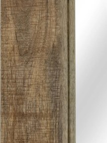 vidaXL Καθρέφτης 50 x 110 εκ. από Μασίφ Ξύλο Μάνγκο