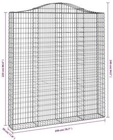 vidaXL Συρματοκιβώτια Τοξωτά 2 τεμ. 200x30x220/240 εκ. Γαλβαν. Ατσάλι