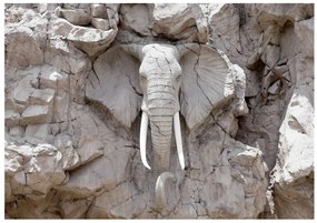 Φωτογραφική ταπετσαρία ελέφαντας στο χρόνο - 300x210