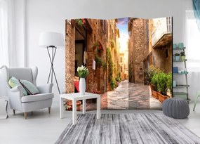 Διαχωριστικό με 5 τμήματα - Colourful Street in Tuscany II [Room Dividers] 225x172