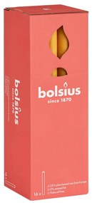Bolsius Κεριά Επιτραπέζια Shine 16 τεμ. Κυψελωτό Κίτρινο 27 εκ.