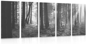 Ηλιόλουστο δάσος 5 τμημάτων σε μαύρο & άσπρο - 100x50