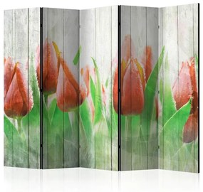 Διαχωριστικό με 5 τμήματα - Red tulips on wood II [Room Dividers]