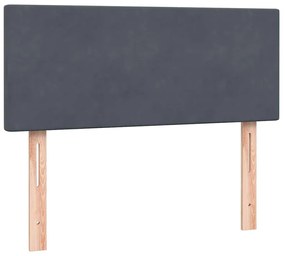 Box Spring Κρεβάτι με στρώμα Σκούρο γκρι 120x220 cm Βελούδινο - Γκρι