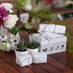 Λαβέτες Σετ 5τμχ Box1002 White-Grey Σε Ξύλινο Κουτί Teoran Towels Set 30x30cm 100% Βαμβάκι