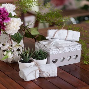 Λαβέτες Σετ 5τμχ Box1002 White-Grey Σε Ξύλινο Κουτί Teoran Towels Set 30x30cm 100% Cotton