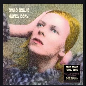 Ημερολόγιο 2025 David Bowie