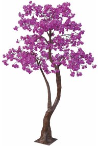 Δέντρο Βουκαμβίλια 89800 280cm Fuchsia