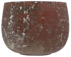 Βάση Ρεσώ Γυάλινη Berry 018135 D15xH12cm Rottenrust Γυαλί