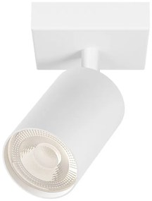 Φωτιστικό Σποτ Braytron BH04-00810 Λευκό (White)