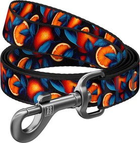 Nylon dog leash, pattern ''Oranges'' length 122 cm Waudog