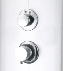 vidaXL Στήλη Ντους Υδρομασάζ Ασημί 25 x 43 x 110 εκ.