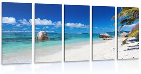 5 μέρος εικόνα παραλία Anse Πηγή - 100x50