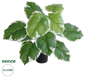 Artificial Garden WHITE HOSTA PLANT 20931 Διακοσμητικό Φυτό Λευκή  Χόστα Φ60 x Υ55cm