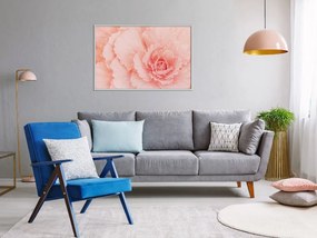 Αφίσα - Delicate Petals - 60x40 - Μαύρο - Χωρίς πασπαρτού