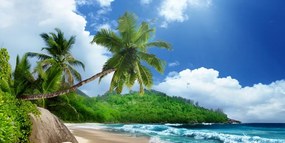 Εικόνα όμορφη παραλία στο νησί των Σεϋχελλών - 100x50