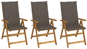 vidaXL Καρέκλες Κήπου Πτυσσόμενες 3 τεμ. από Ξύλο Ακακίας με Μαξιλάρια