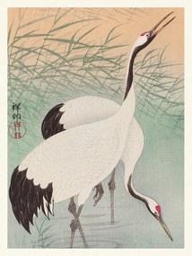 Εκτύπωση έργου τέχνης Two Cranes (Japandi Vintge) - Ohara Koson, (30 x 40 cm)