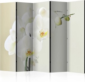 Διαχωριστικό με 5 τμήματα - White orchid II [Room Dividers]