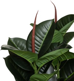 Τεχνητό Δέντρο (Φ40x120) A-S Ficus Robusta 181460