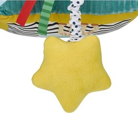 Σόφι καμηλοπάρδαλη Αισθητηριακός κύβος δραστηριοτήτων